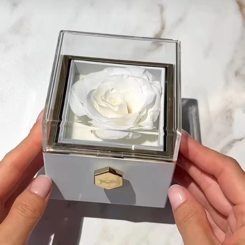 Eternal Rose Box W/ Engraved Necklace